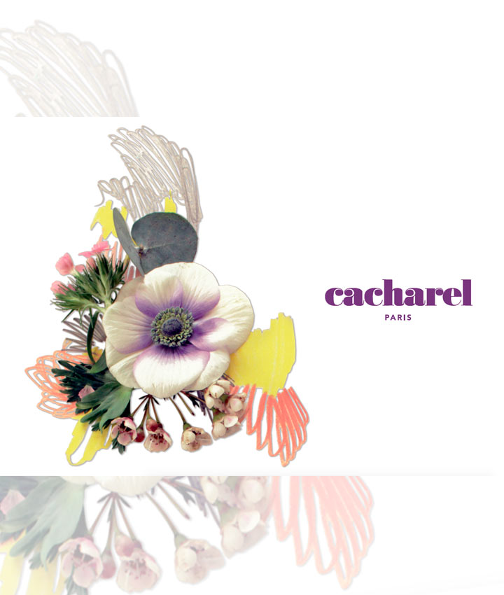 Catálogo Cacharel